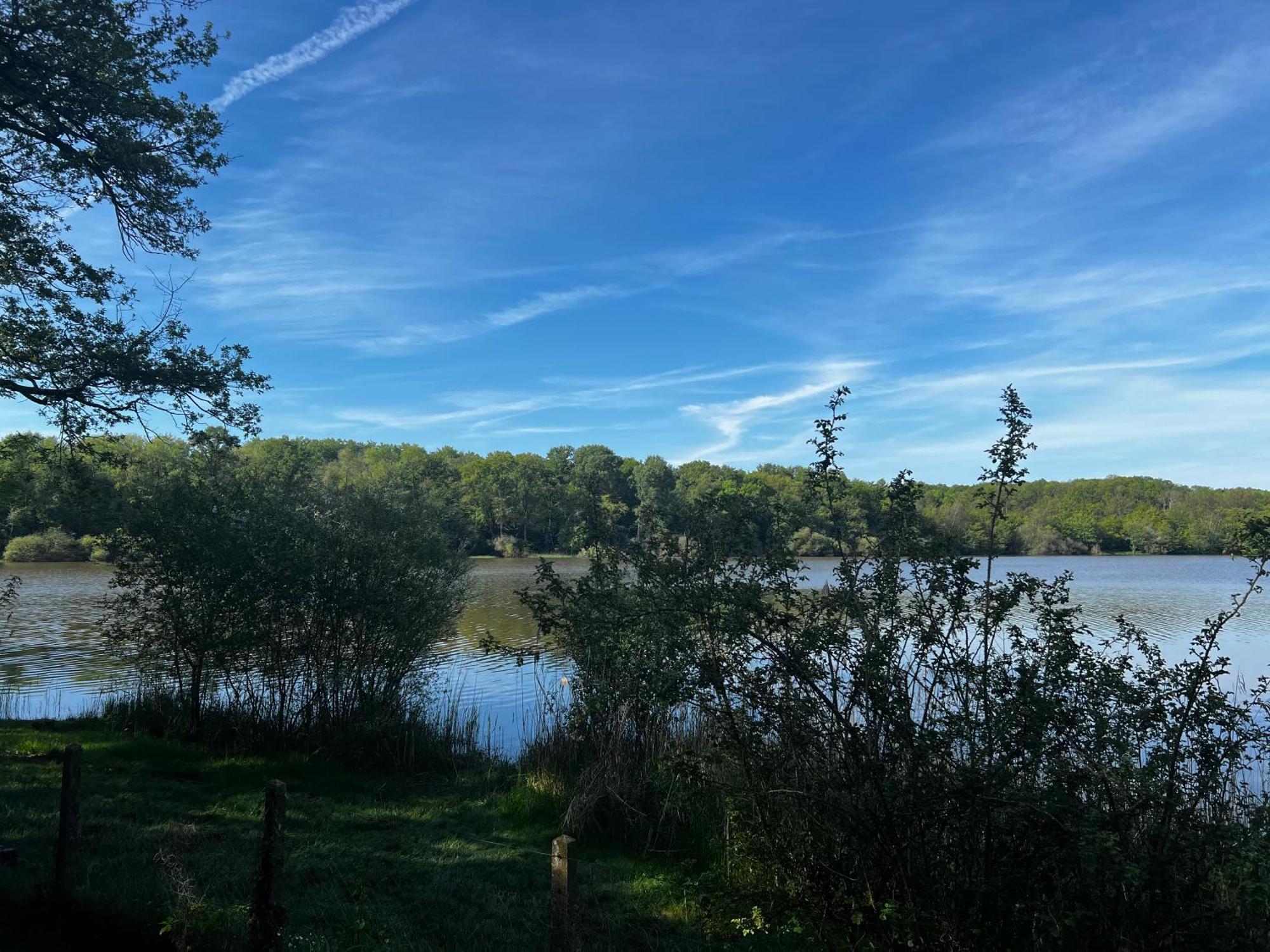 Chalet Au Bord De L'Etang 4 Pers Les Boulmiers 외부 사진