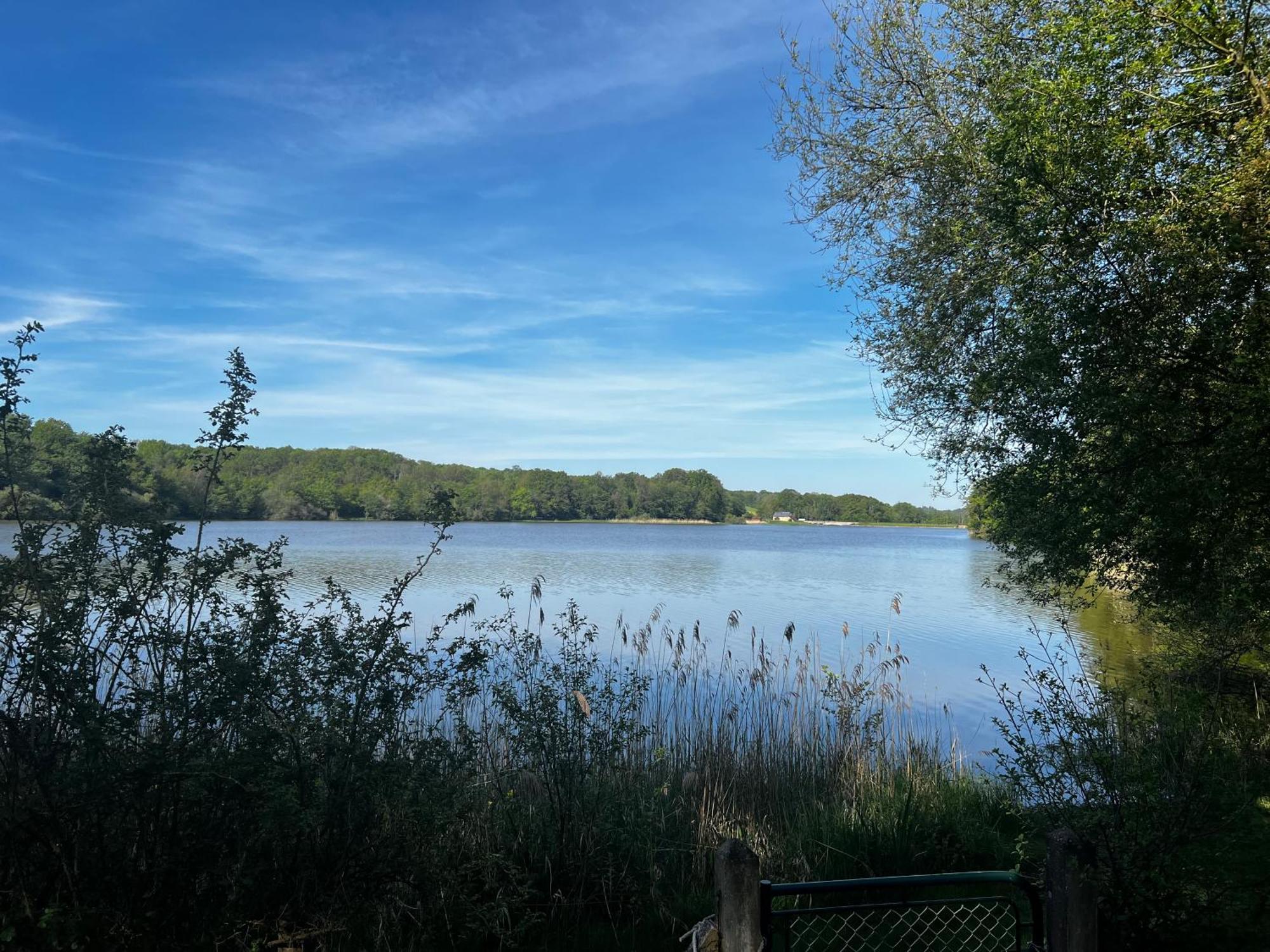Chalet Au Bord De L'Etang 4 Pers Les Boulmiers 외부 사진